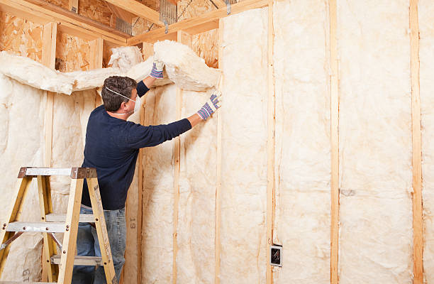 Types of Insulation We Offer in Apalachicola, FL