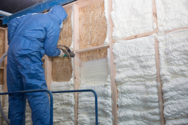 Best Eco-Friendly or Green Insulation Solutions  in Apalachicola, FL